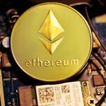 Ethereum Whales: Who They Are and Why They Matter